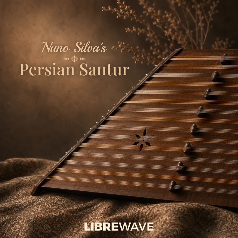 Nuno Silva's Persian Santur